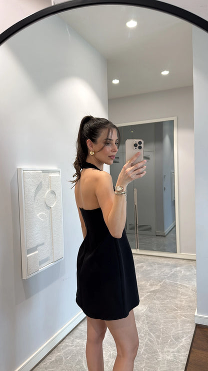 Elegant Mini Dress